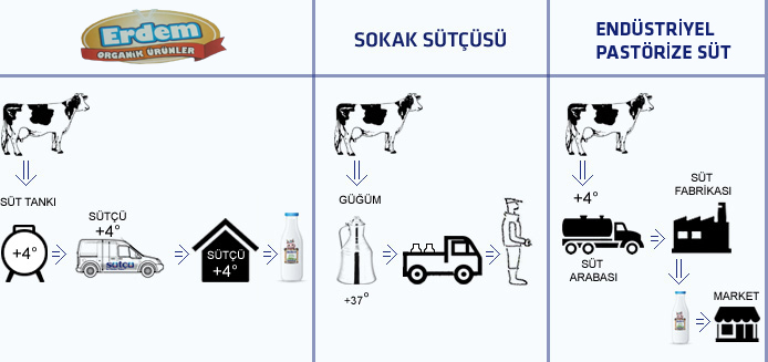 organik-urunler-merak-ettikleriniz